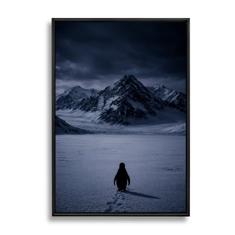 BUT WHY LIMITED EDITION